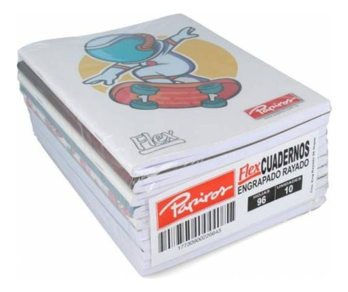 Pack De 10 Cuadernos De 96 Hojas