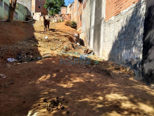 Imagem 2 de 2 de Terreno Para Venda Em Osasco, Bandeiras - Te00039_1-2019611