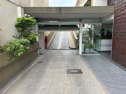 Mejor Que Una Alcancia Coch Fija Xxl Cubierta