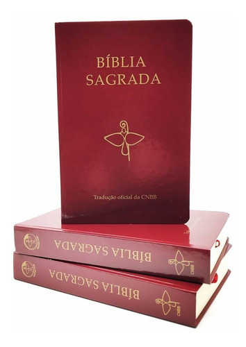 Bíblia Sagrada Católica Tradução Cnbb Média Capa Dura