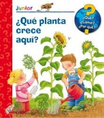 Que Planta Crece Aqui