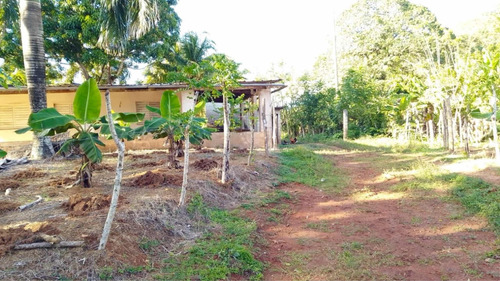 Finca En Sabana De La Mar 676 Tareas