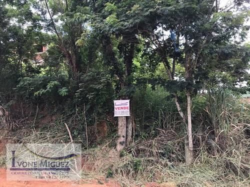 Imagem 2 de 5 de Terreno Em Zenobiópolis - Paty Do Alferes - 2914