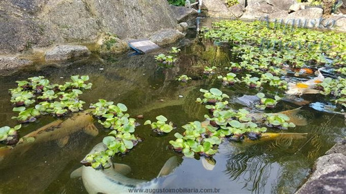 Imagem 20 de 29 de Chácaras À Venda Em Piracaia/sp - Compre O Seu Chácaras Aqui! - 1287237