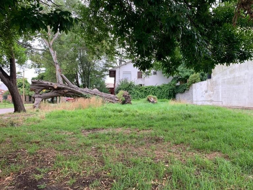 Imagen 3 de 8 de Lote Venta Mar Del Plata Los Pinares Ultimos Lotes