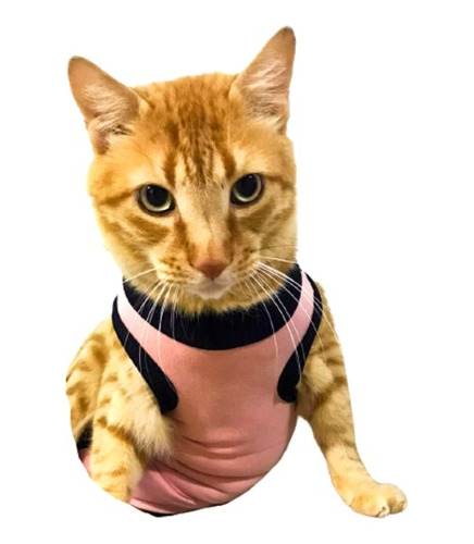 Vestido Postquirurgico Para Gato - Unidad a $30599