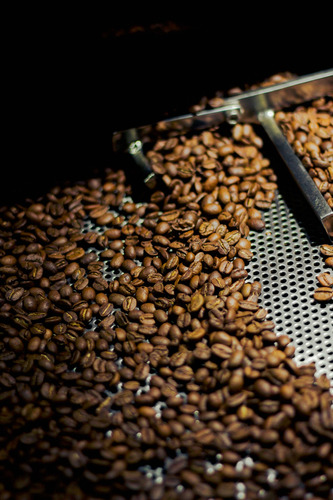 Café De Veracruz Proceso Lavado