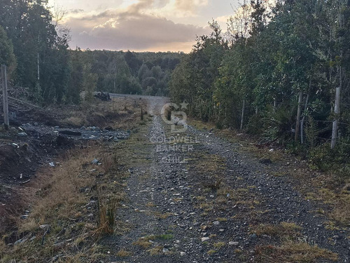 Parcela De 5000 M2, En Condominio, Con Acceso Controlado
