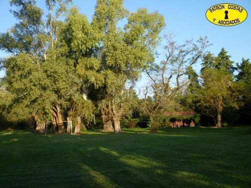 Imagen 3 de 17 de 1384hp- Chacra Pileta Galpón Casa Huéspedes Rp 192 - Torres