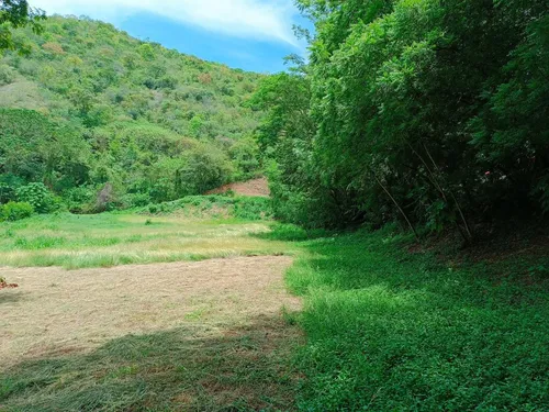 Lote En Venta En Paraje El Espinal. Cod V14863