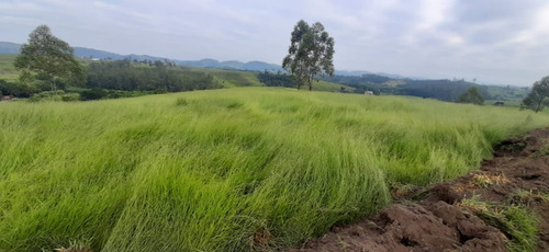 Imagem 15 de 15 de F10; Terreno Com Visao Maravilhosa