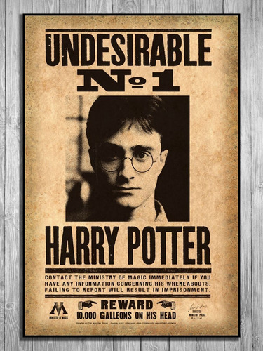 Cuadro De Harry Potter Indeseable N°1