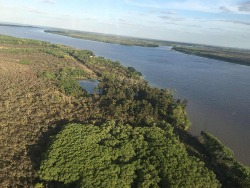 Lote En Isla Parana De Las Palmas Y Vinculación Tigre Delta