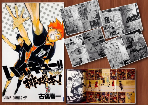 Guide Book Haikyuu! Jump Comics Gastovic Anime Libro
