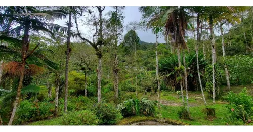 Finca En La Ruta Dapa A Bitaco La Cumbre