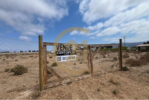 Venta De Terreno En Pan De Azúcar Coquimbo