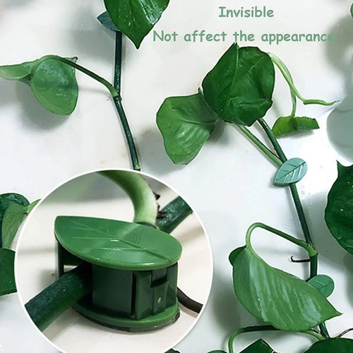 Kit De 40 Ganchos Adhesivos De Pared Para Plantas Trepadoras