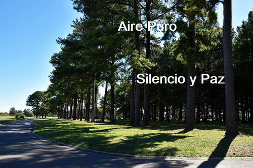 Imagen 3 de 20 de Pinares Country Club Lote 568 Etapa 2 ( Ver Video)