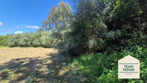 Exclusivas Parcelas Santo Domingo, Valdivia
