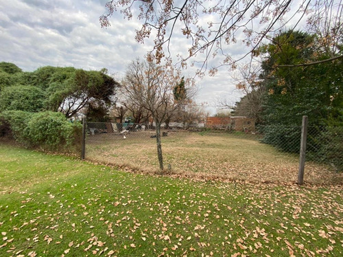 Imagen 11 de 14 de Terreno 1246m2 Con Casa A Reciclar En Roldan