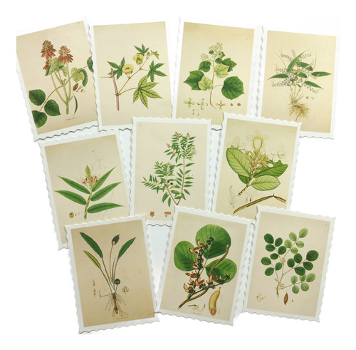 Stickers Estampillas Botánicas | Scrapbooking Y Journaling