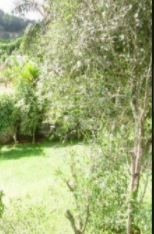 Imagem 1 de 3 de Terreno À Venda, 1000 M² Por R$ 399.000,00 - Jardim Sol Nascente (ouro Fino Paulista) - Ribeirão Pires/sp - Te0077