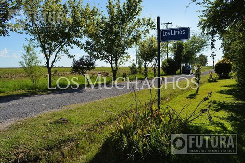 Imagen 19 de 30 de Terreno A La Venta En Barrio Abierto Los Muchachos - Piñero