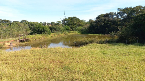 Imagem 16 de 19 de Sítio A 1,5km De Mirassol