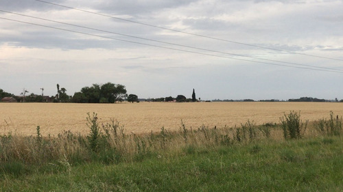 Imagen 3 de 12 de Vendo Chacra Para Loteo Sobre Ruta 205 En Saladillo!!