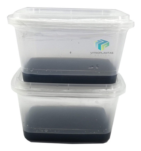 Medio Cultivo In Vitro Orquídeas Germinación Esteril 3pz