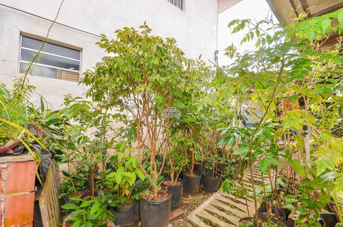 Imagem 30 de 30 de Casa - Residencial - 935063