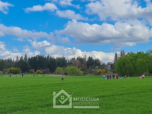 Campo 78 Ha En Traiguén Entre Rios