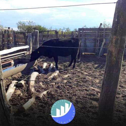 Imagen 8 de 8 de Vendo Campo De 6153 Hectáreas A 80km De Algarrobo Del Águila
