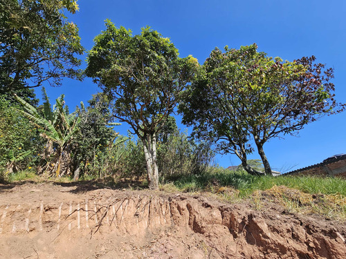 Terreno 10x35 Próximo Ao Centro Embu Das Artes