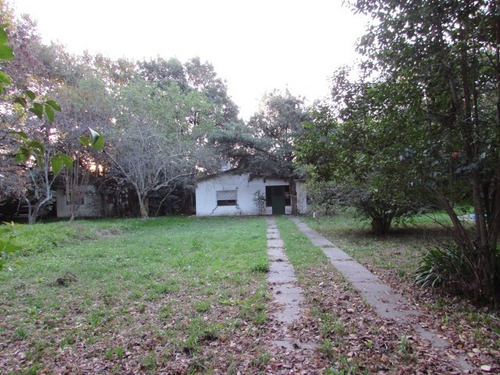 Imagen 3 de 5 de Lote En Venta El Pato