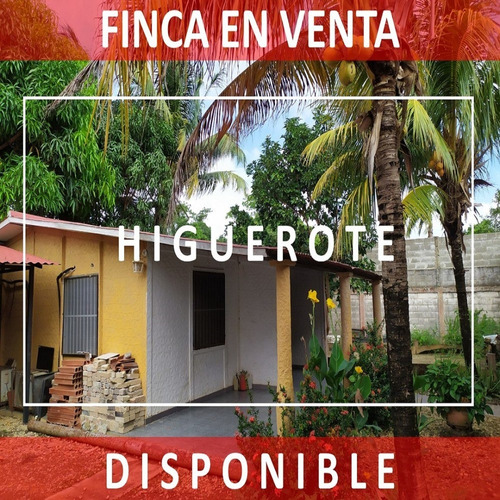 Imagen 1 de 14 de Finca Familiar, Casa, Piscina, Parrilera, Cod. 21-2141