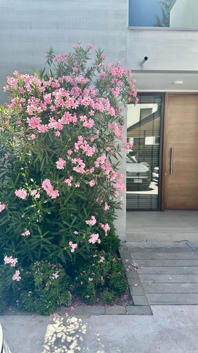 Conectividad Y En Condominio: Mediterránea E Impecable