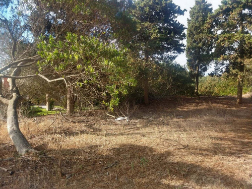 Imagen 10 de 15 de Terreno En Venta En Las Gaviotas