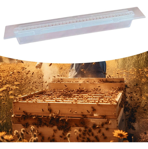 Pequeña Beekeeper Tool Clear Professional Tool Reutilizable
