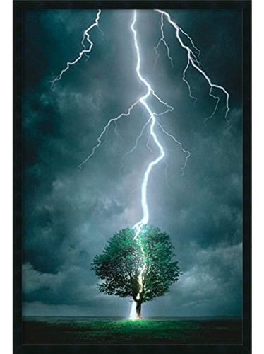 Poster Con Marco Lightning Llamativo Arbol Exterior Taman