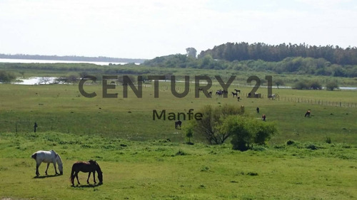 Imagen 17 de 30 de Venta Casa 4 Ambientes Ramallo, Country Estancia Federal