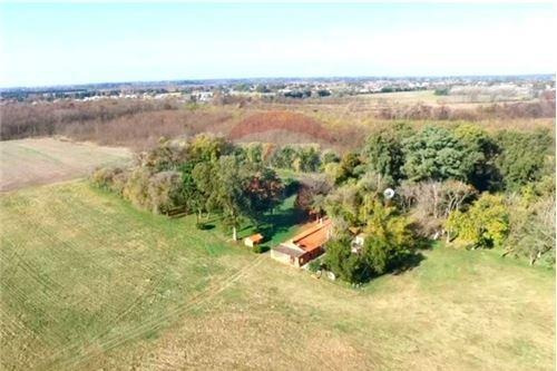 Imagen 4 de 21 de Venta Campo De 195 Ha. En Manzanares Pilar - Único