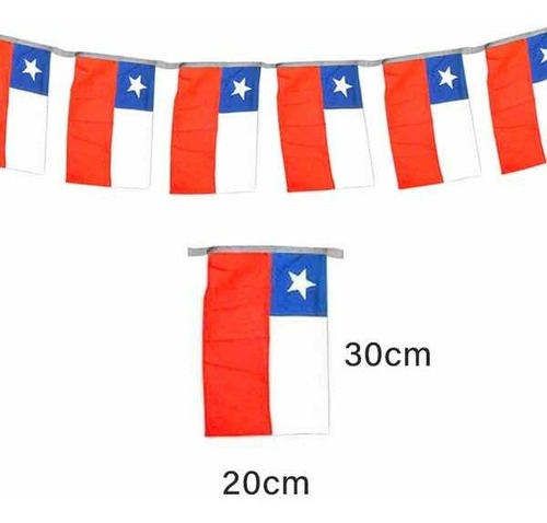 Imagen 3 de 7 de Pack Fiestas Patrias Guachaca 10 Personas Completa