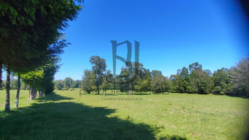 Imagen 22 de 25 de Venta De Parcela En Villarrica