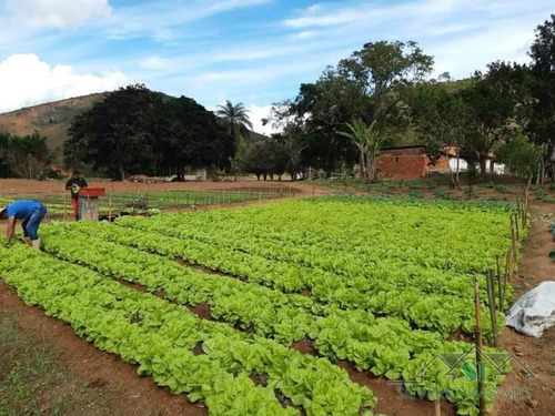 Terreno- Paraíba Do Sul, Gragoatá - 3188