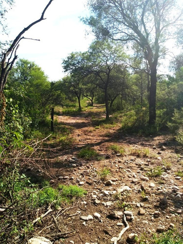 Imagen 3 de 11 de Vendo Lotes De 3.300 M² Cerca De Los Sauces, San Marcos Sierras- Oportunidad