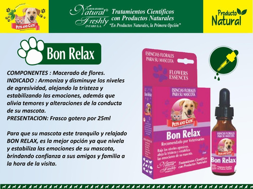 Esencias Florales Para Mascotas Equilibra Su Comportamiento