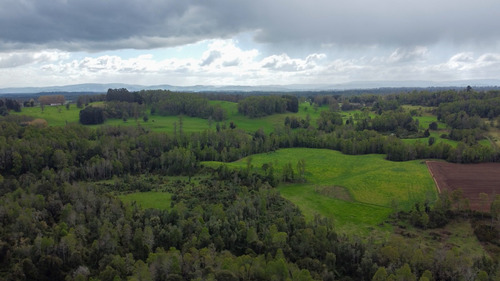 Campo En La Unión Cercano Al Lago Ranco 27,4 Hectáreas