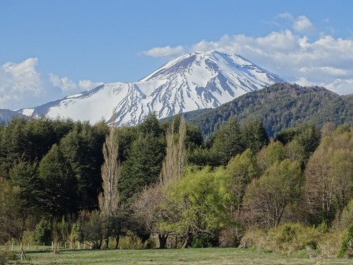 Malalcahuello / Corralco / Bosque Nativo / Rio Cautín