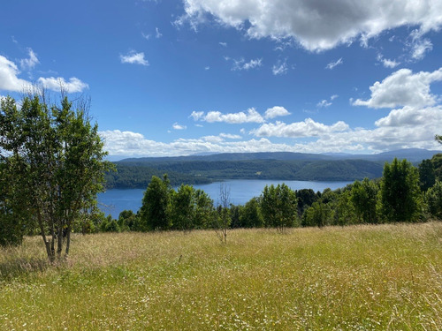 Z O N A S U R. C L Parcelas Orilla Y Acceso Lago Huilipilun